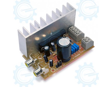 20W+20W Stereo Audio Amplifier ( RMS ) Disassembled