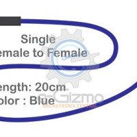 Female to Female Single Connecting Wire 20cm Blue