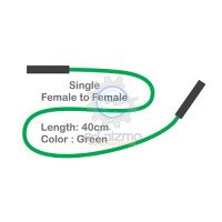 Female to Female Single Connecting Wire 40cm Green