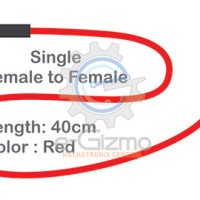 Female to Female Single Connecting Wire 40cm Red