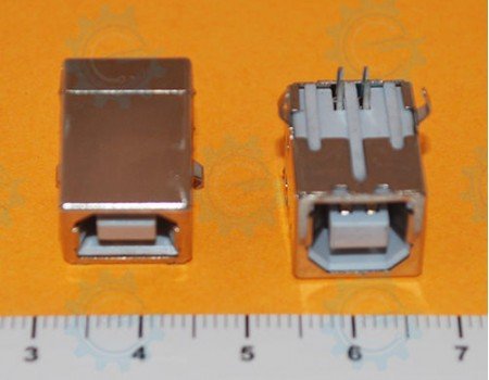 USB Type-B Female