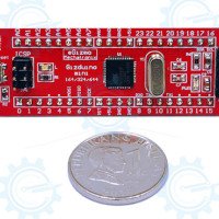 gizDuino + Mini with ATmega644 with pins