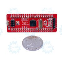 gizDuino + Mini with ATmega324 with pins