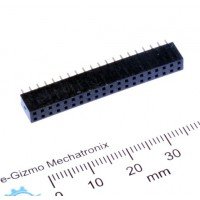 2x20 Female Header 2mm
