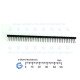 Male Header Strip 40-Pins 2.54mm Pitch Angle Connector Male Header Strip 40-Pins 2.54mm Pitch Angle Connector