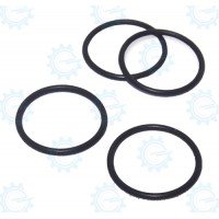 O-RING-D171