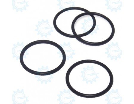 O-RING-D171