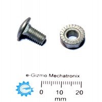 Carriage Bolt & Nut M6x12 Carriage Bolt & Nut M6x12