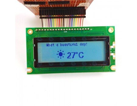 Winstar Graphics LCD Module 122 x 32 pixels WG12232A with Connector