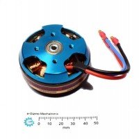 Himax C-6310-0250 Outrunner Brushless Motor (Multiplex)