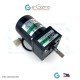 Reversible 100V 6W AC Motor 2RK6GN-A with 2GN9K Gearhead [USED]